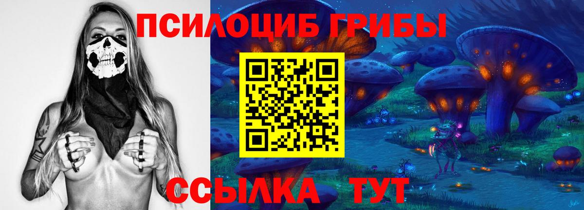 Галлюциногенные грибы мухоморы  Вход с VPN  Кингисепп  Псилоцибиновые грибы мухоморы 