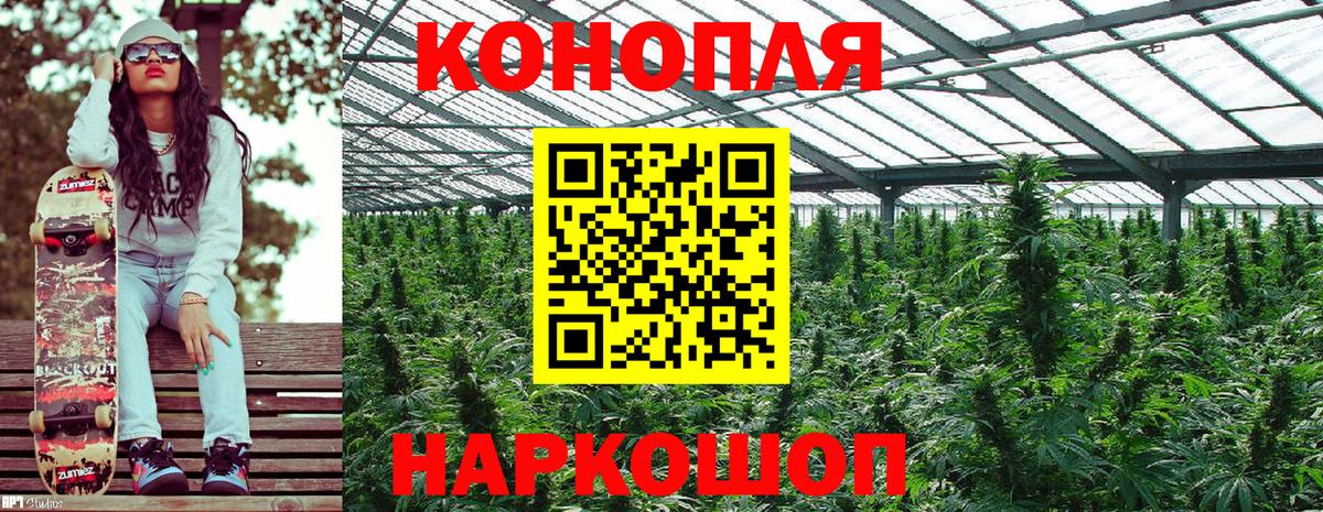 Каннабис AK-47  Вход с VPN  Шишки марихуана план  Кингисепп  Каннабис OG Kush 